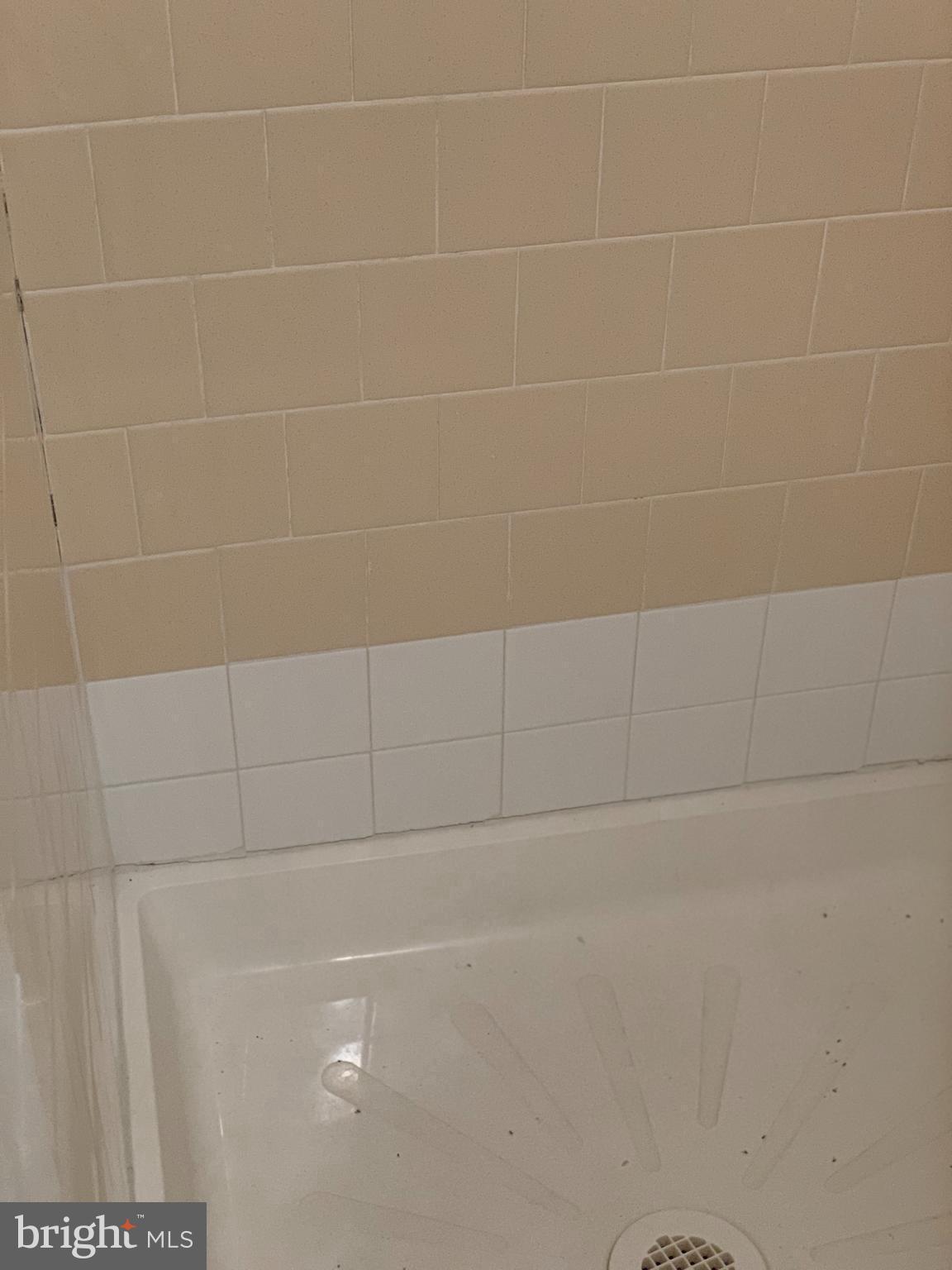 3300 Harrell Street Silver Spring, MD 20906 - Photo 28 of 32 shower
