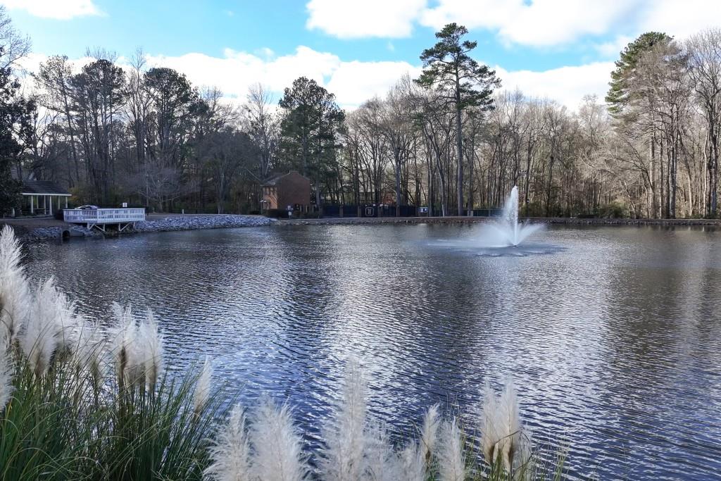 4138 Crape Myrtle Lane Duluth, GA 30096 - Photo 38 of 50 a view of a yard with wooden fence
