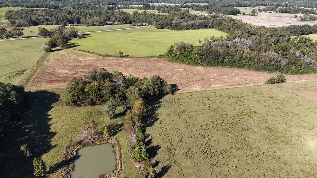 Lot 5 Battles Road Dothan, AL 36301 - Photo 4 of 6