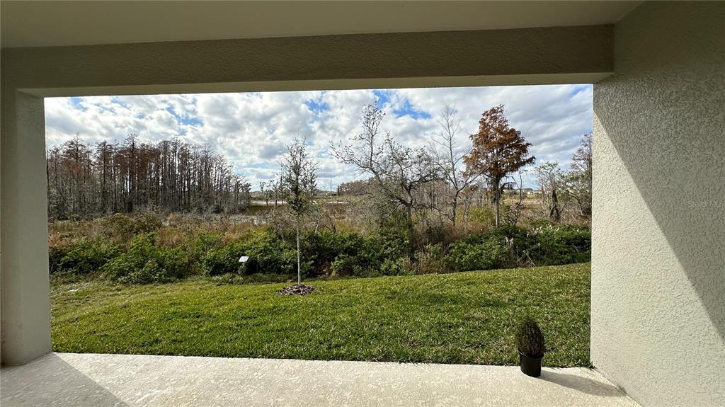 16472 Parable Way Winter Garden, FL 34787 - Photo 29 of 31