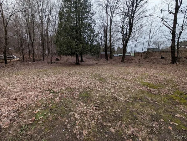 $53,500 | 14272 State Street, Diana, NY 13648