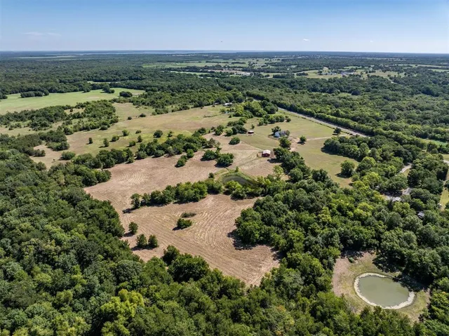 a view of a bench in a forest