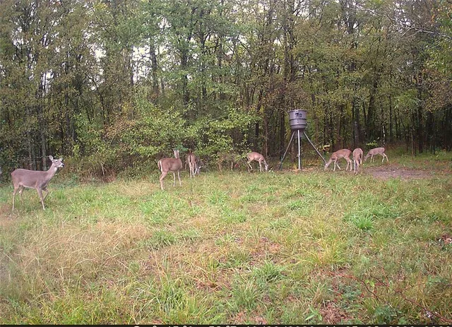 a view of table and chairs in the yard
