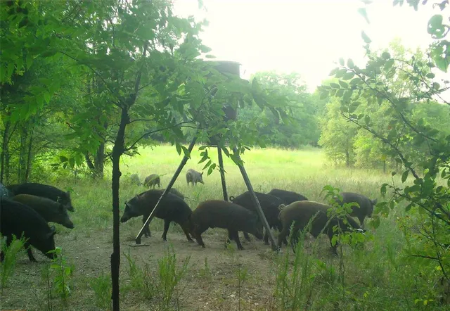 $759,000 | 3139 Farm Road 3134, Cumby, TX 75433