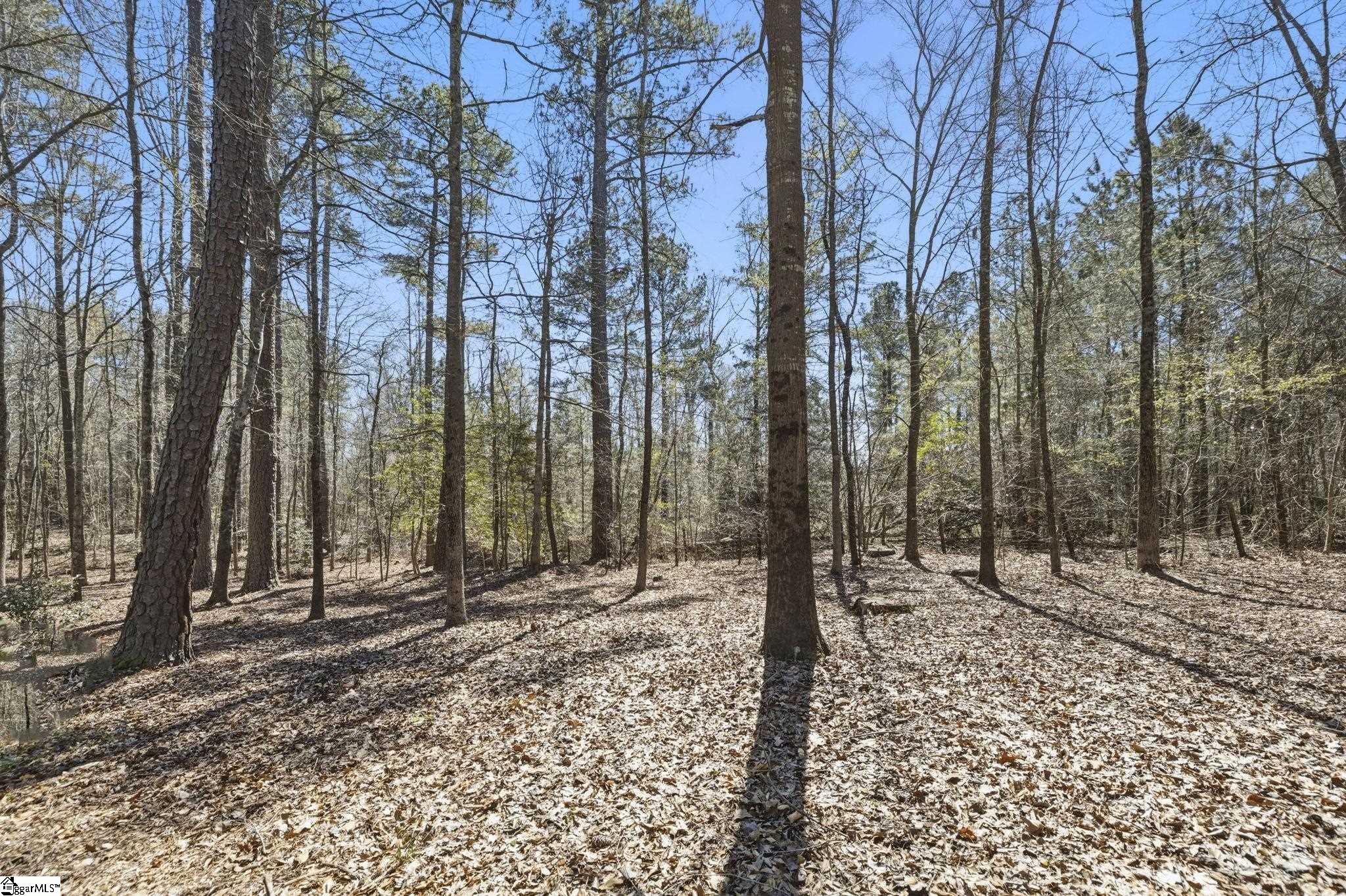 191 Pheasant Way Fountain Inn, SC 29644 - Photo 42 of 50 Gallery Image 42