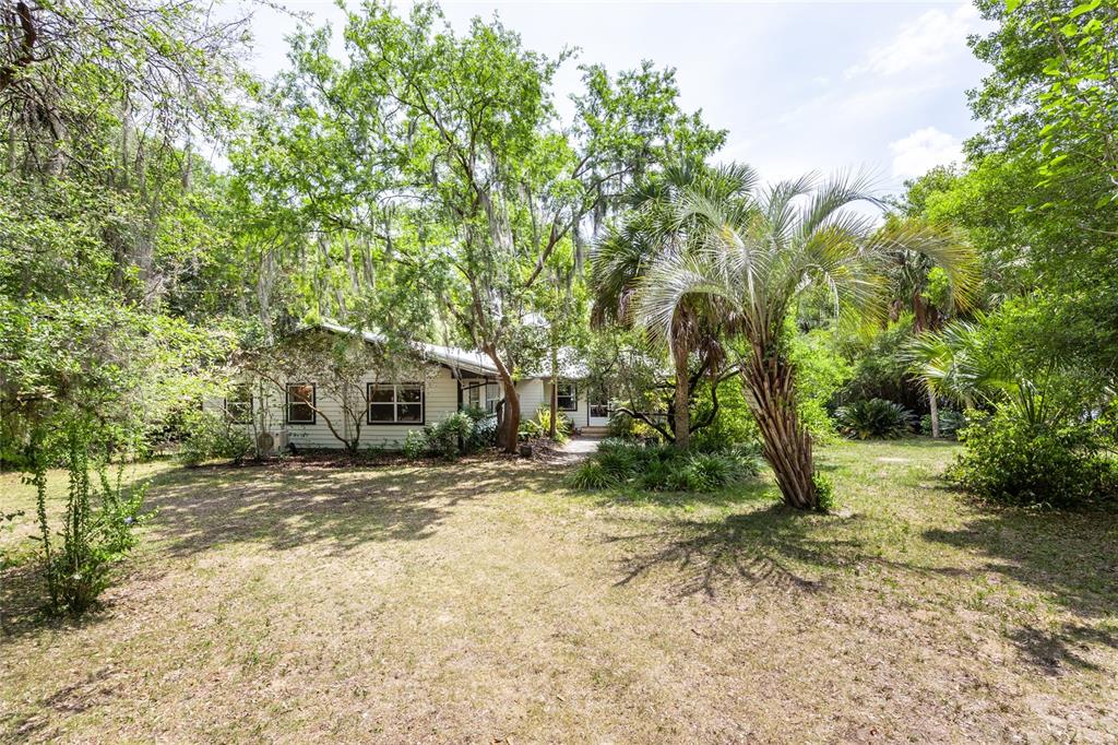 a view of a yard with plants and trees