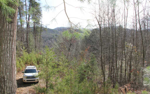 Lot 3 Weaver Creek Road Blue Ridge, GA 30513 - Photo 1 of 1 a view of a yard from a corridor