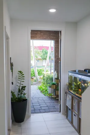 a view of potted plants in front of a room