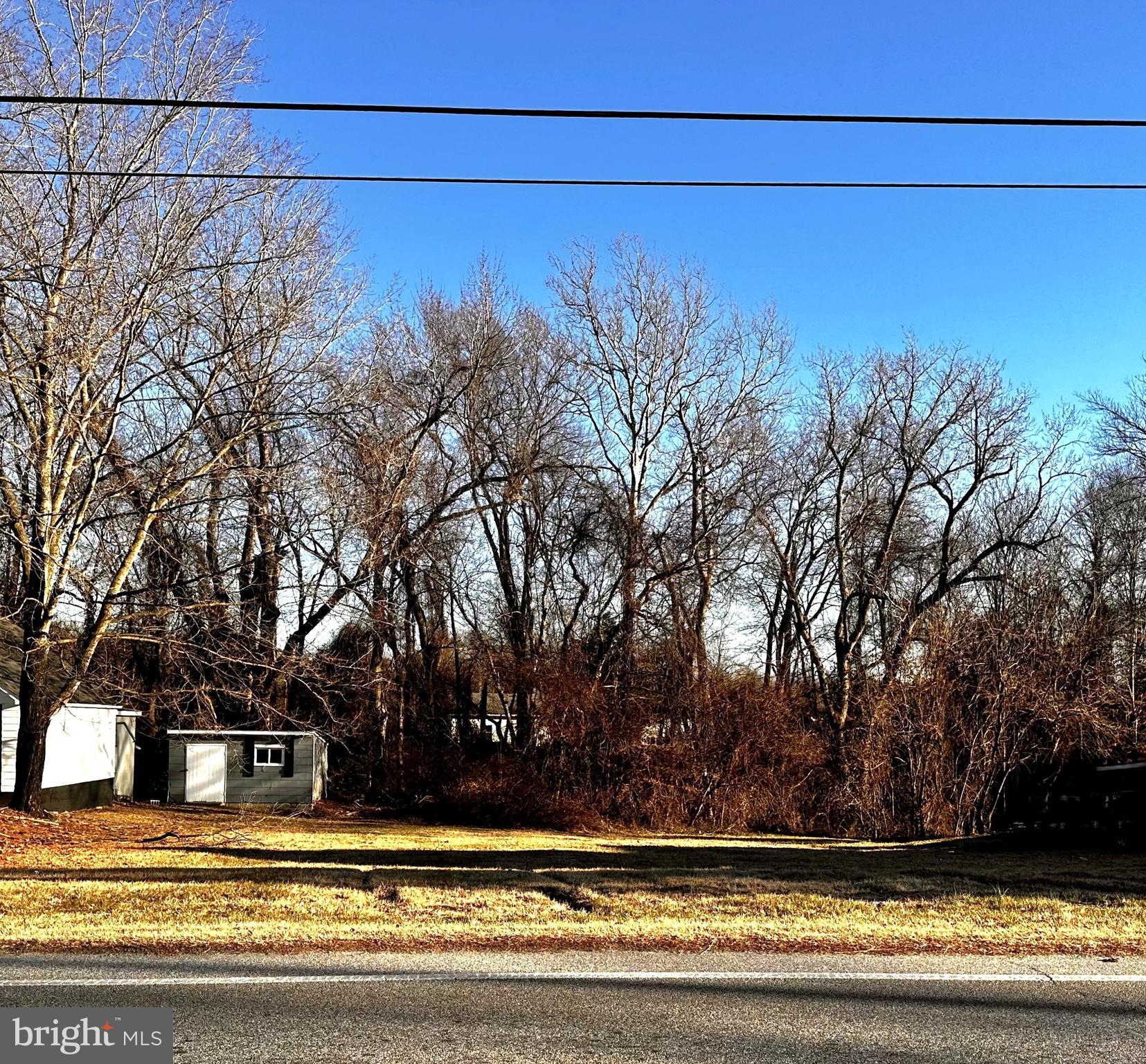 2 North Main Street Greensboro, MD 21639 - Photo 2 of 19 a view of a yard with large trees