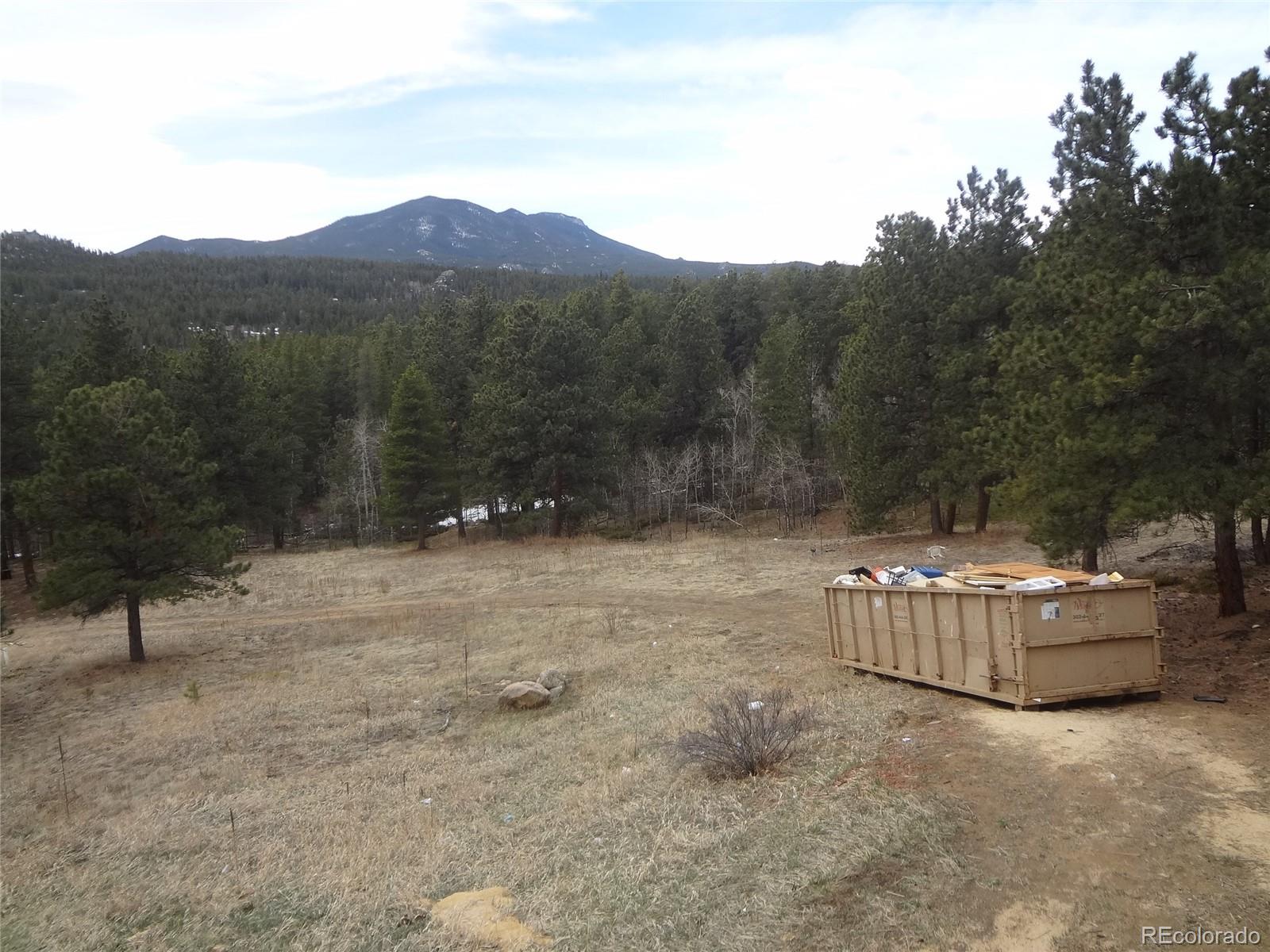 1987 Lazy Z Road Nederland, CO 80466 - Photo 26 of 34 Gallery Image 26