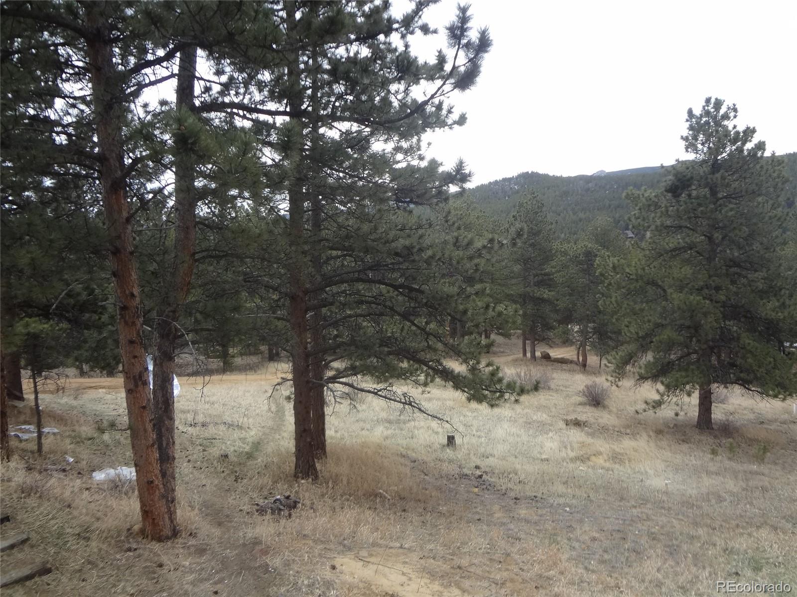 1987 Lazy Z Road Nederland, CO 80466 - Photo 27 of 34 Gallery Image 27