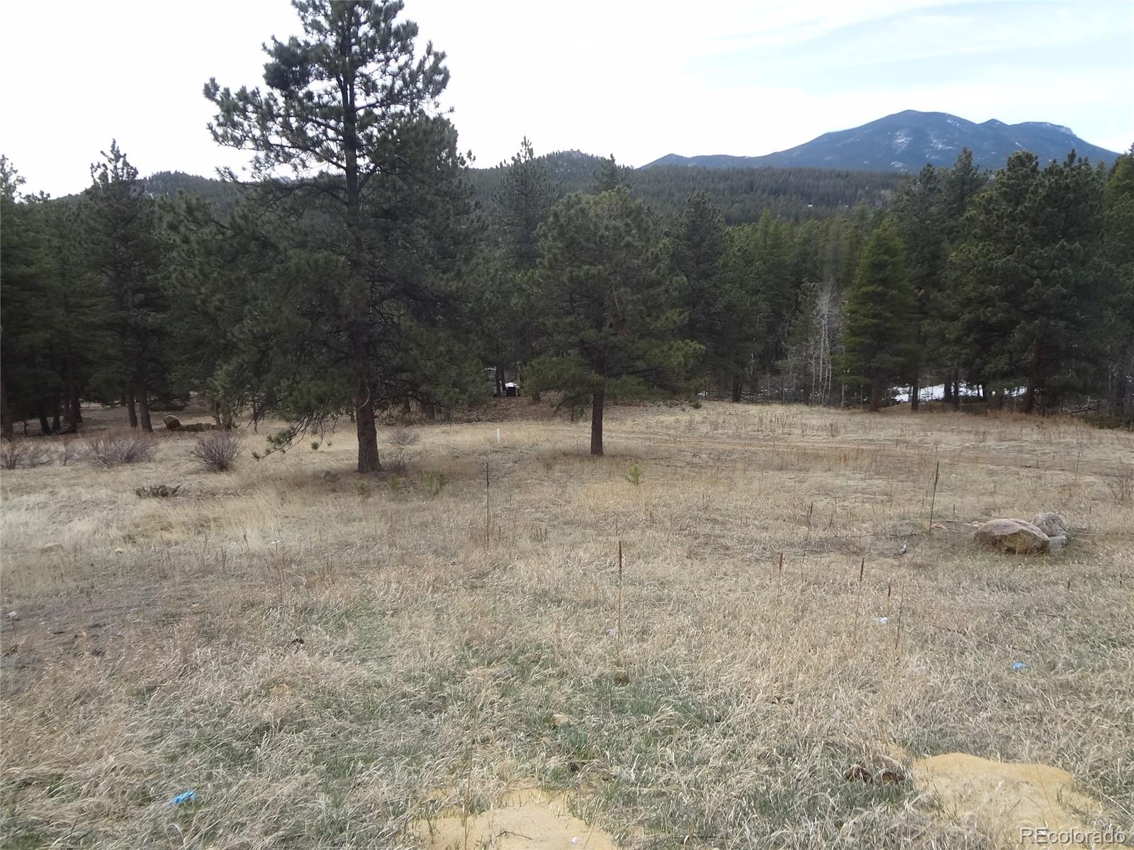 1987 Lazy Z Road Nederland, CO 80466 - Photo 33 of 34 Gallery Image 33