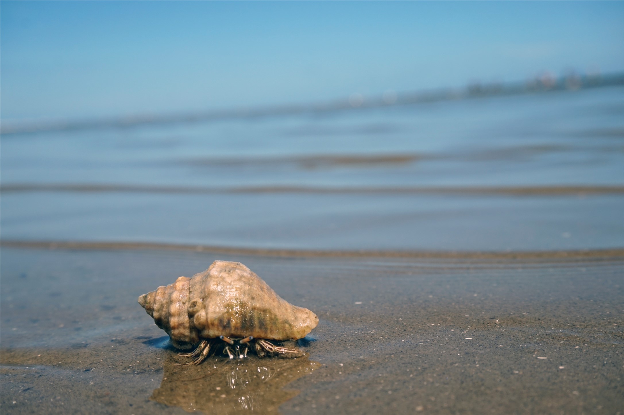 123 Strand Street, Unit REAR Galveston, TX 77550 - Photo 22 of 24