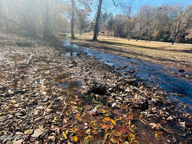 a view of a lake and a yard