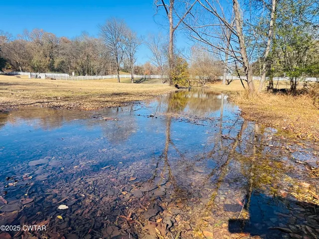 a close up of a plant