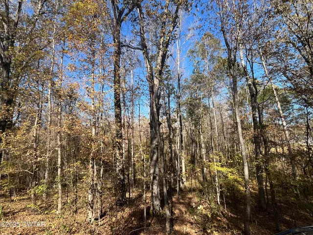 $4,000 | Lot 171 Indian Park Drive, Parsons, TN 38363