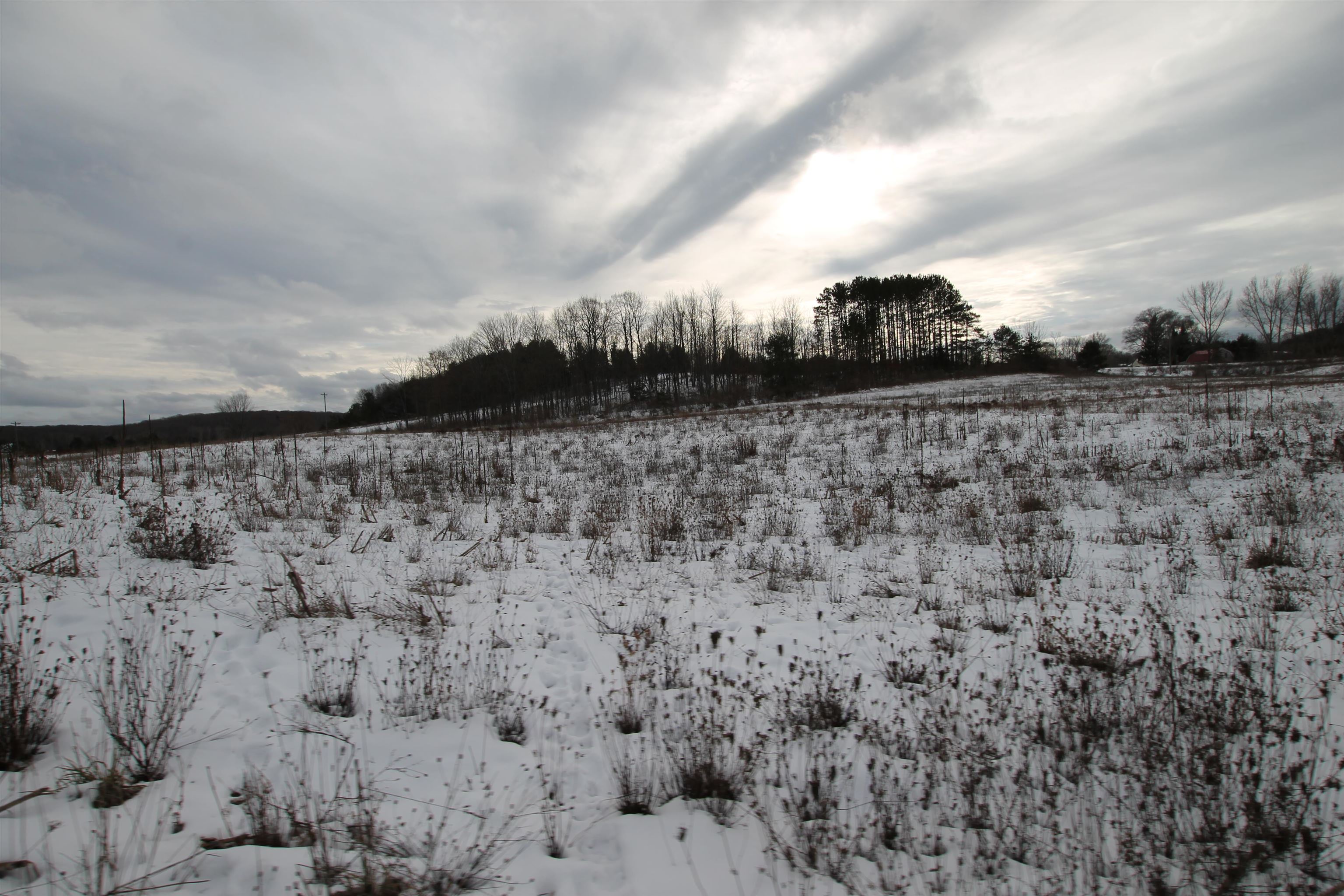 Tbd Tbd Atwood Road Ellsworth, MI 49729 - Photo 7 of 20