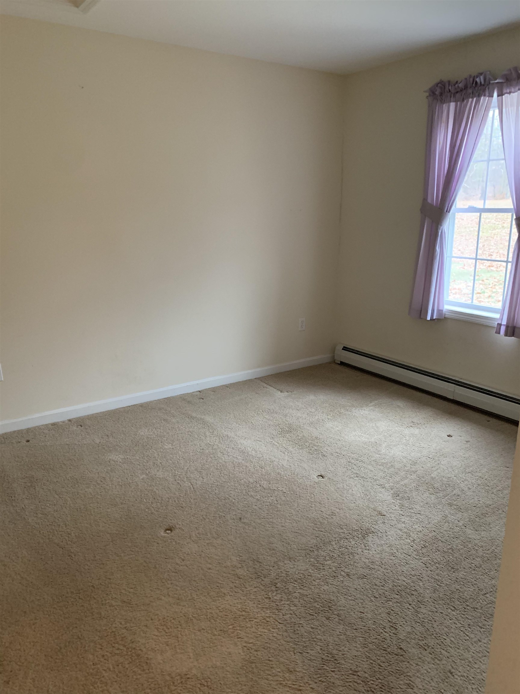 231 Bow Lake Road Barnstead, NH 03218 - Photo 27 of 39