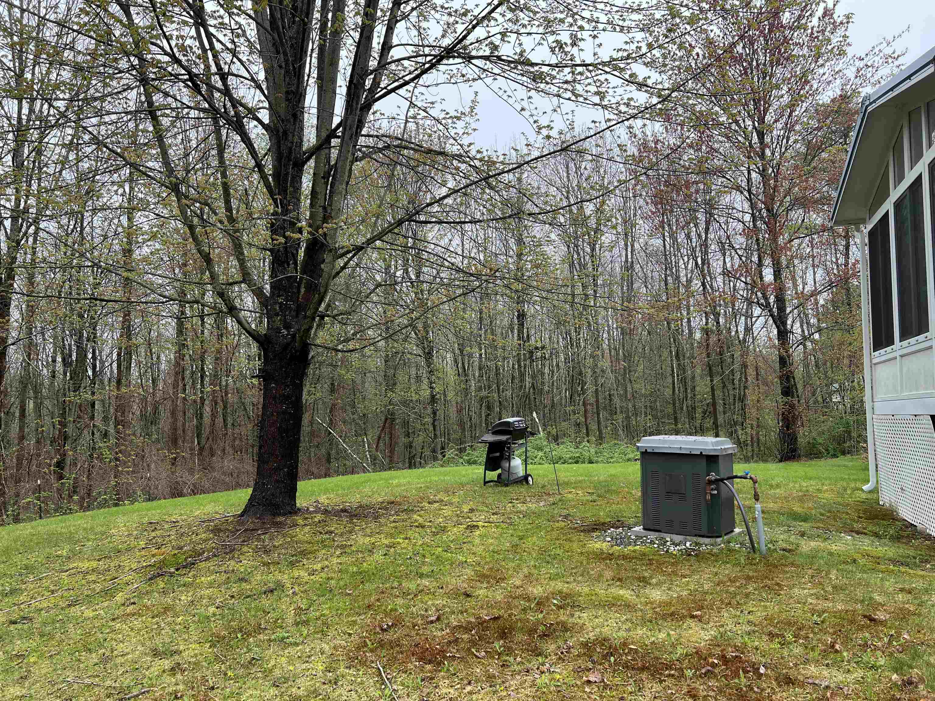 231 Bow Lake Road Barnstead, NH 03218 - Photo 9 of 39