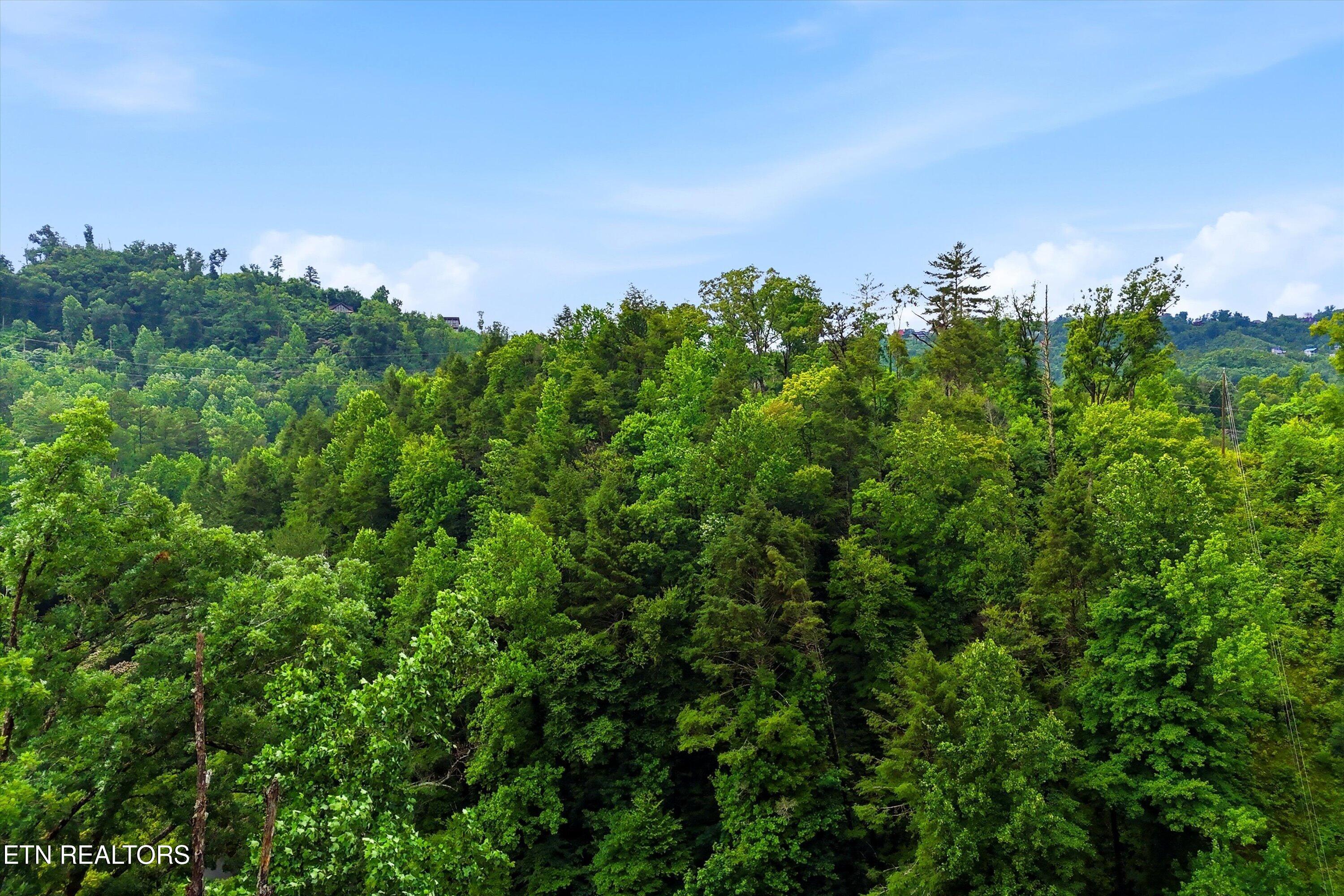 127 Beech Branch Road Gatlinburg, TN 37738 - Photo 9 of 18 16-FINAL-16