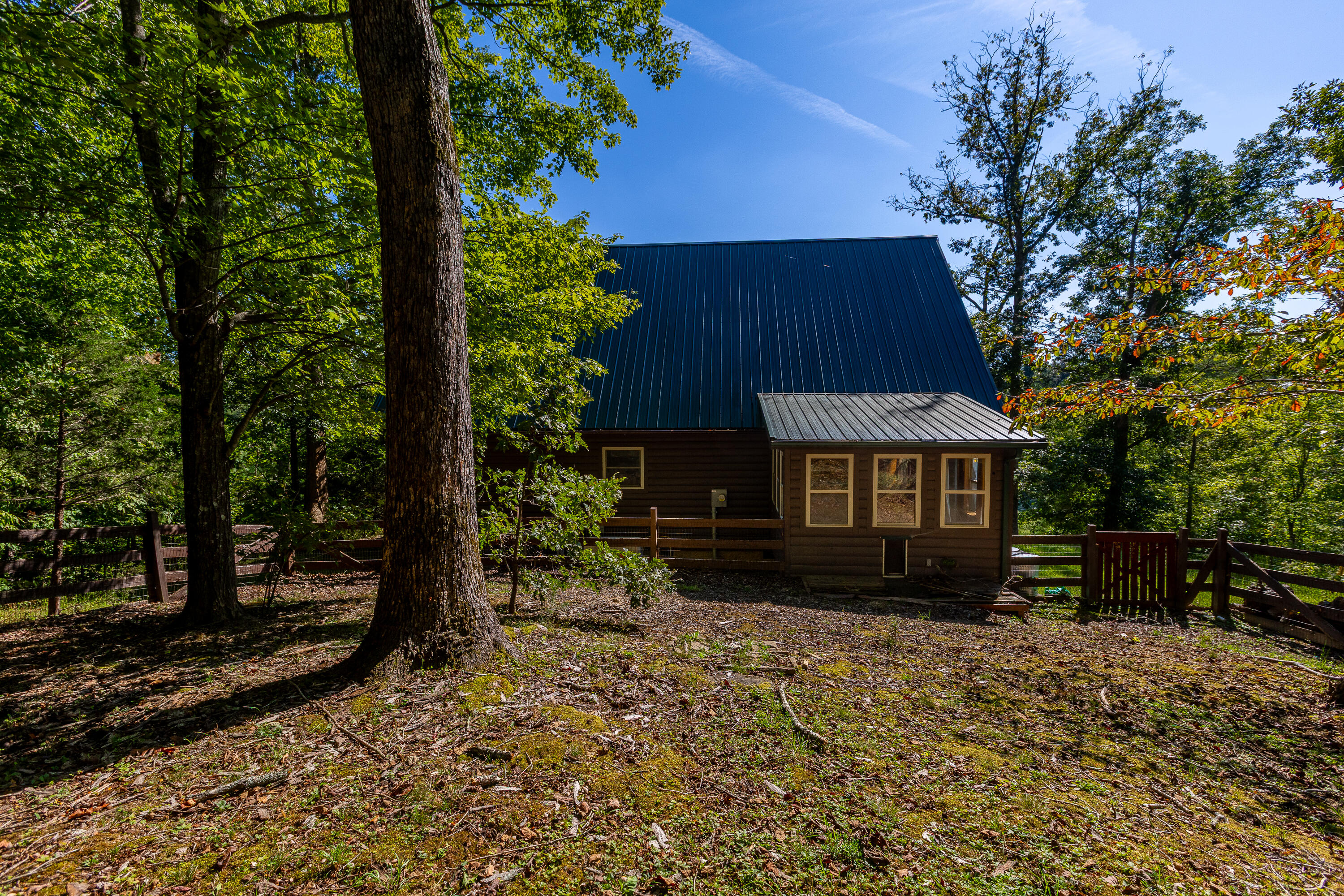 904 Phils Branch Road Mize, KY 41352 - Photo 38 of 56 Backyard