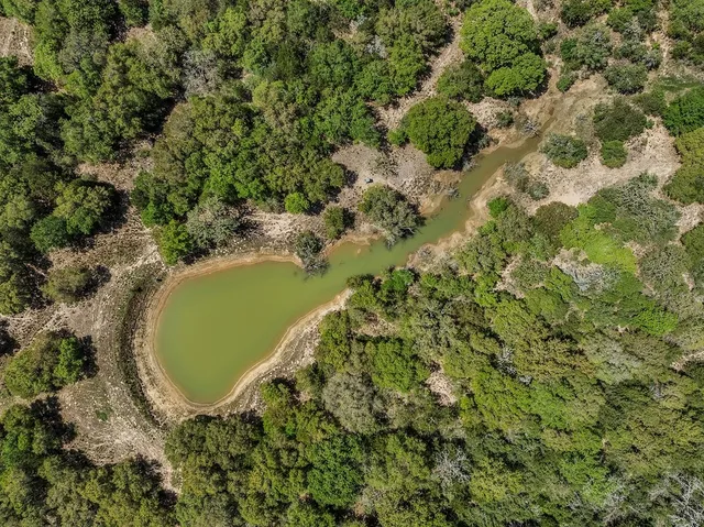 a view of a field with trees in the background