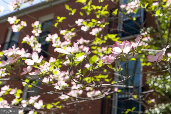 $1,148,777 | 88 V Street Southwest, Unit 201, Washington, DC 20024