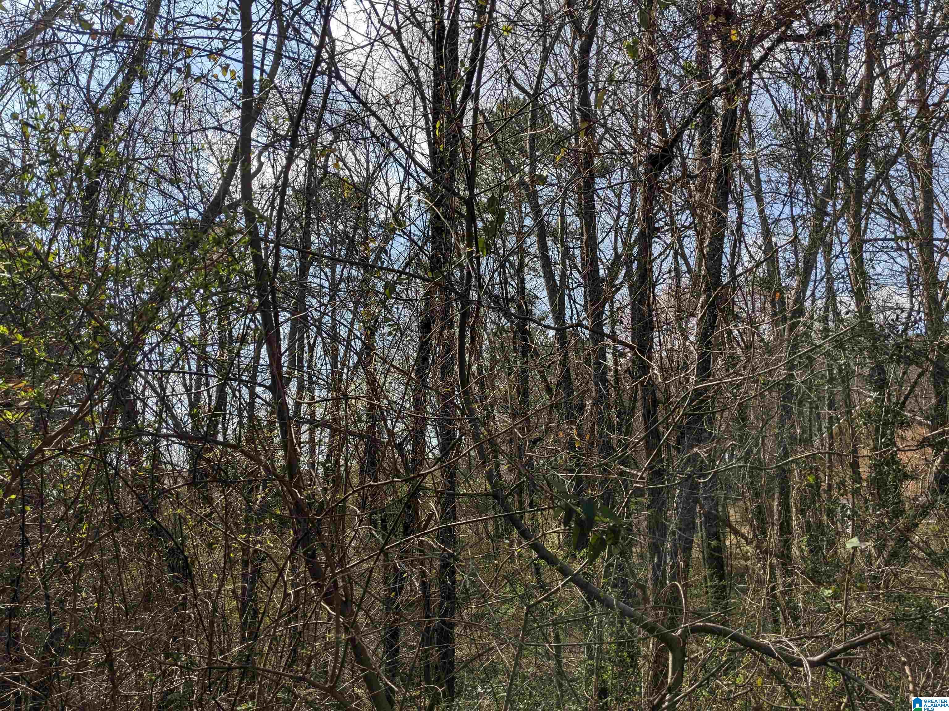 0 Hathaway Heights Road, Unit 2 & 3 Anniston, AL 36207 - Photo 28 of 30