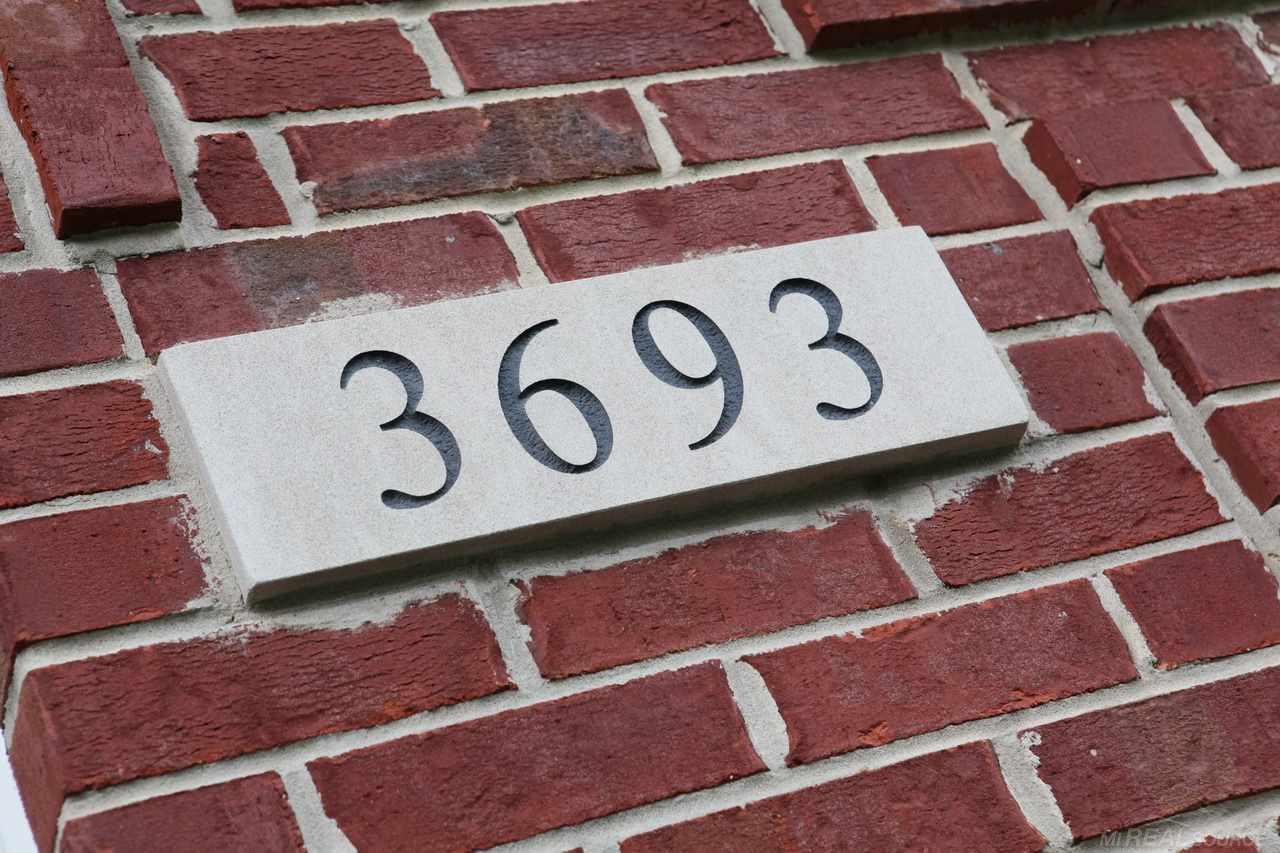 31355799-6.JPG