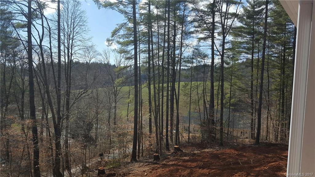 1427 Kelly Hunter Road Marshall, NC 28753 - Photo 11 of 13 Gallery Image 11