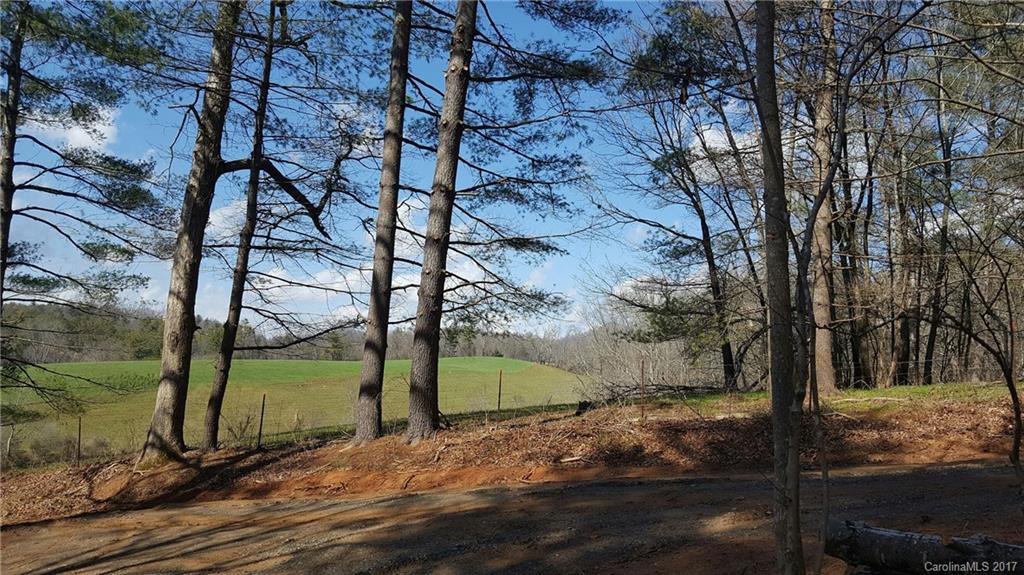 1427 Kelly Hunter Road Marshall, NC 28753 - Photo 4 of 13 Gallery Image 4