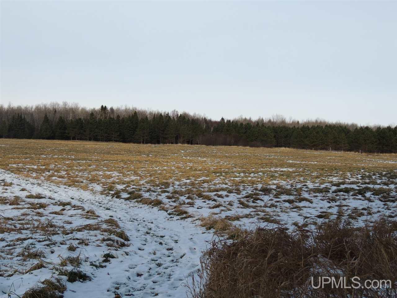 14696 25.75 Road Rapid River, MI 49878 - Photo 30 of 30