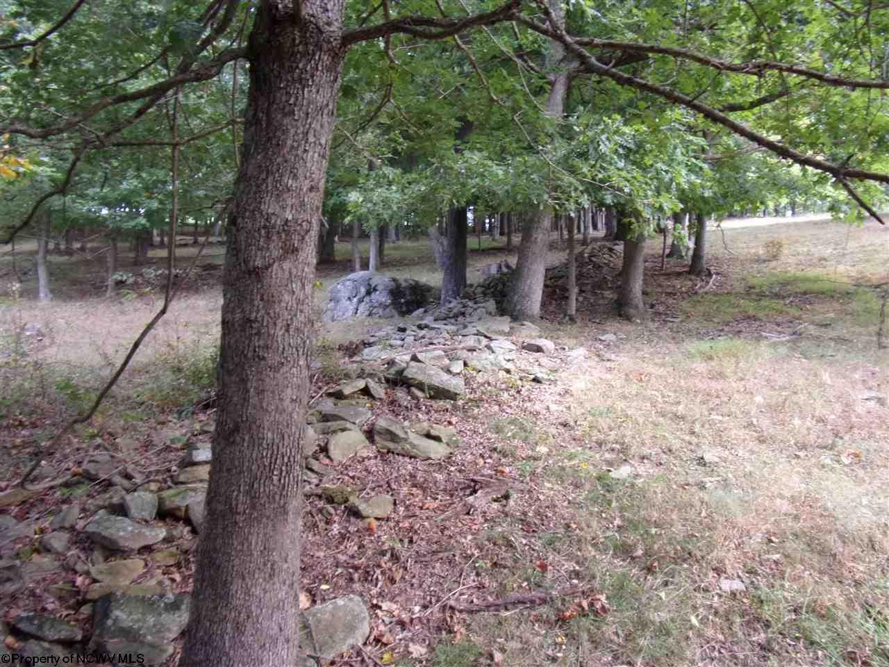 0 Georgetown Road Belington, WV 26250 - Photo 3 of 9 Gallery Image 3