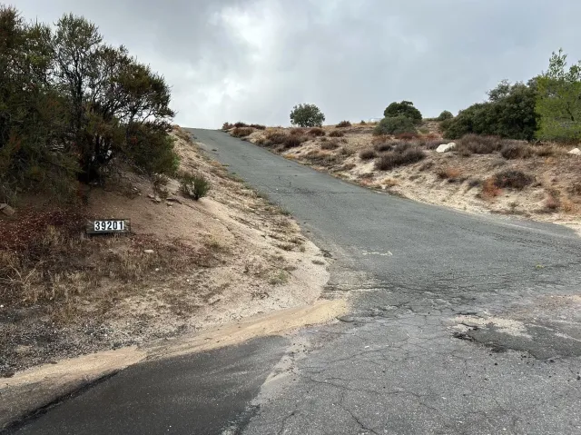 a view of a dry yard with trees