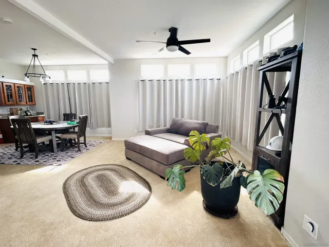 a dining room with furniture and a potted plant