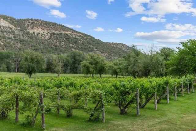 a view of an outdoor space and yard