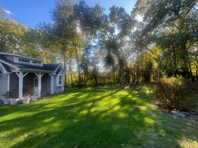 15646 Griswold Springs Road Plano, IL 60545 - Photo 39 of 46 a view of a big yard with plants and large trees