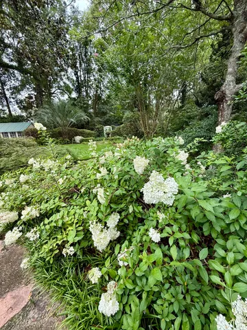 $6,500 | 710 South Main Street, Unit A MAIN HOUSE, Summerville, SC 29483