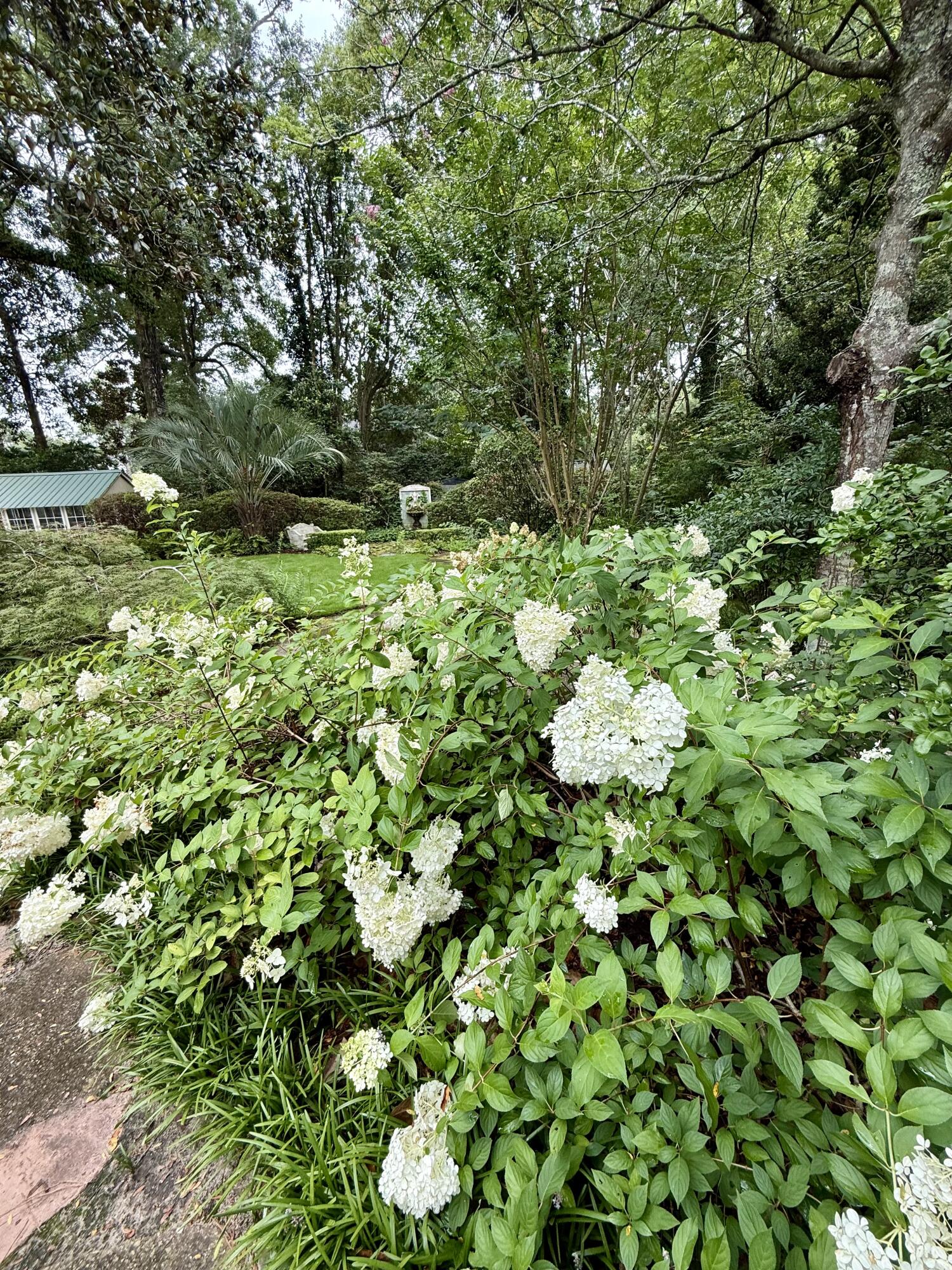 710 South Main Street, Unit A MAIN HOUSE Summerville, SC 29483 - Photo 52 of 54 IMG_0063