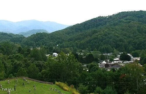 $189,500 | 19e Roan Mountain, Roan Mountain, TN 37687