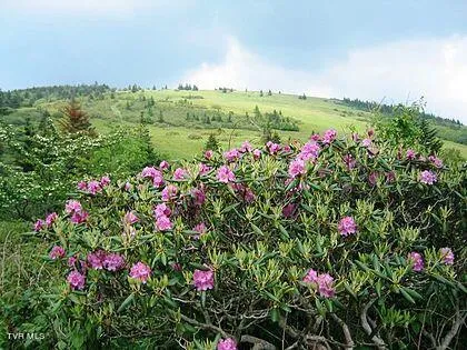 $189,500 | 19e Roan Mountain, Roan Mountain, TN 37687