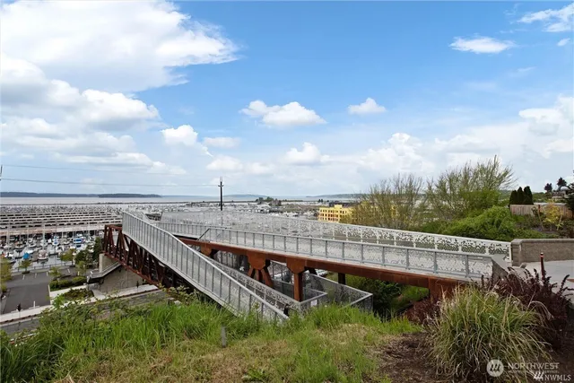 a view of a garden with a lake