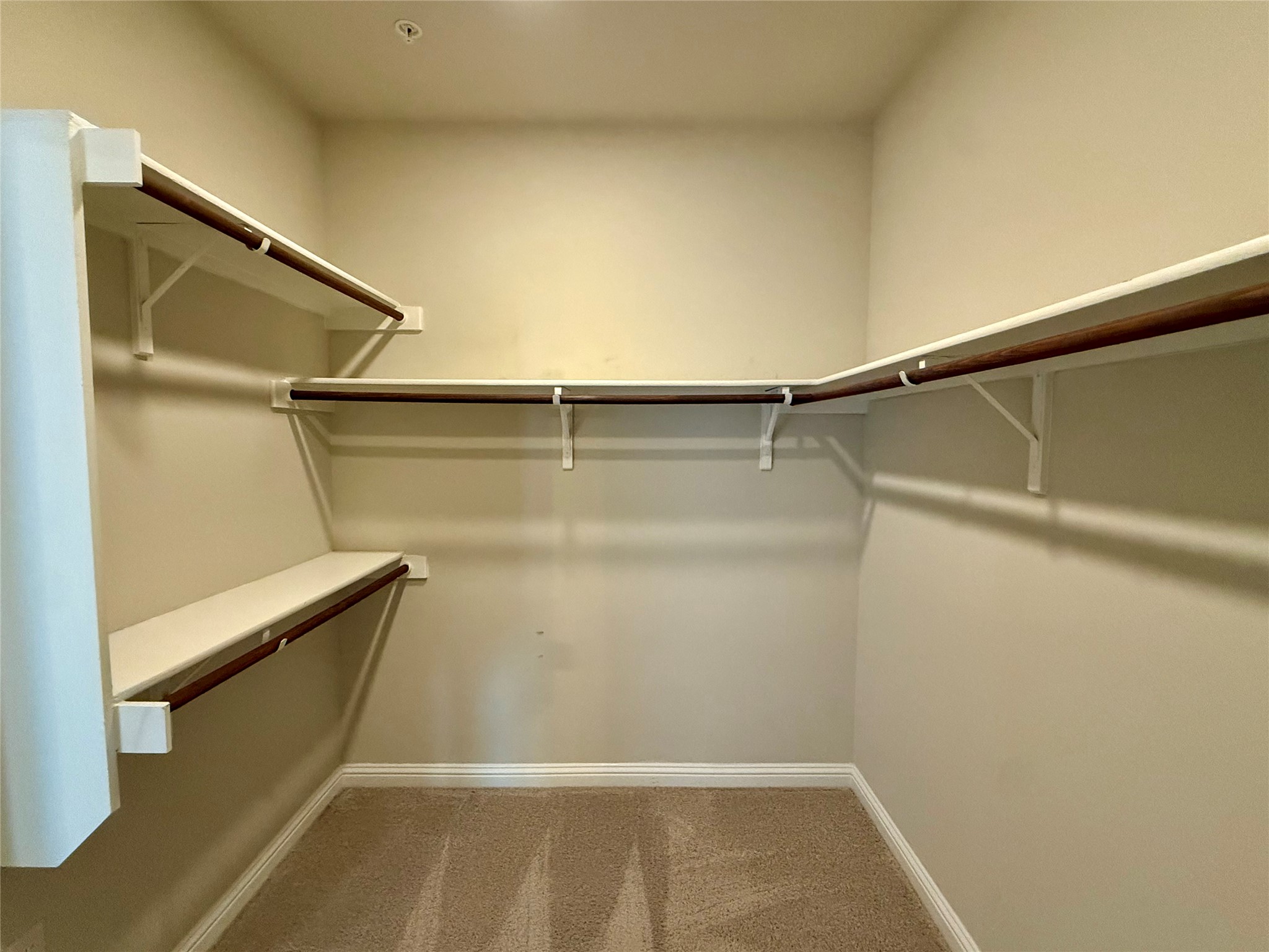 6814 East Riverside Drive, Unit 73 Austin, TX 78741 - Photo 19 of 33 Walk-in closet featuring light beige carpeting and neutral wall paint