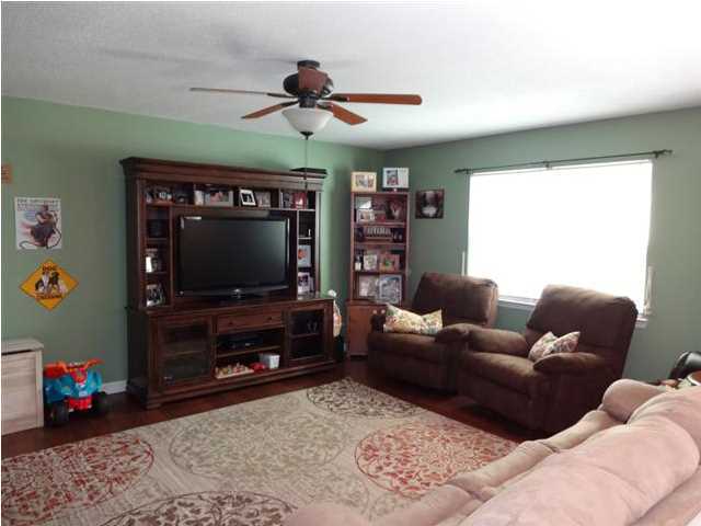 472 Pine Grove Access Road Ringgold, GA 30736 - Photo 3 of 23 Additional Photo