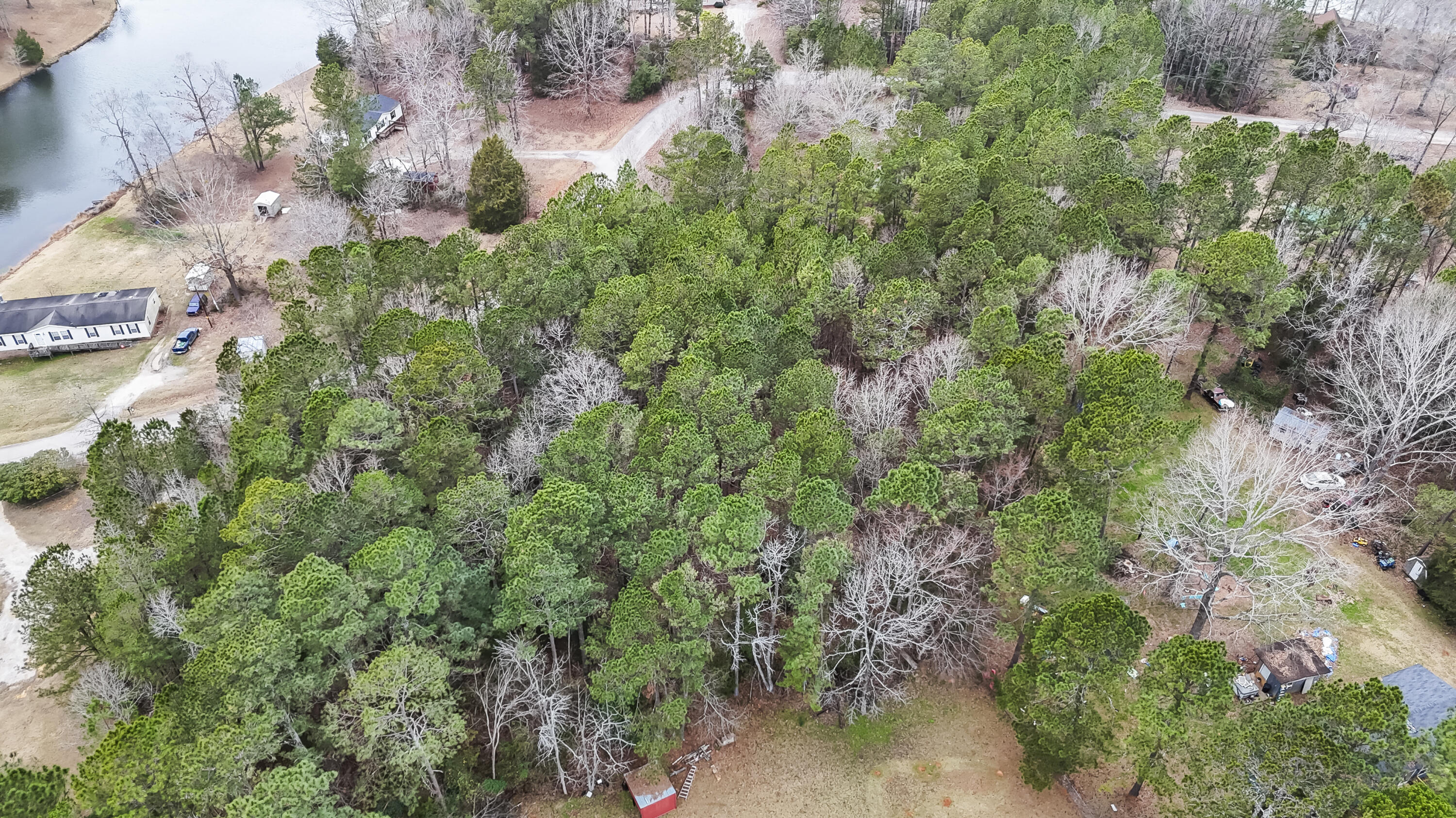 0 Twin Ponds Road Newberry, SC 29108 - Photo 12 of 19