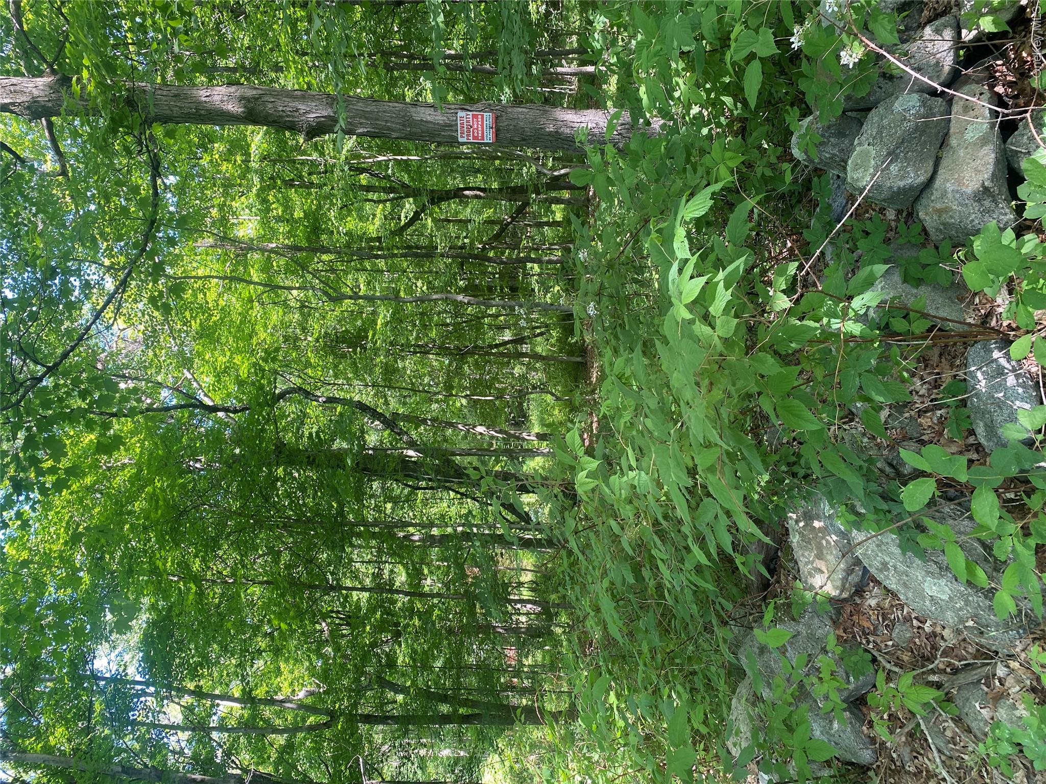 123 Meads Farm Road Stormville, NY 12582 - Photo 1 of 3 Lovely, level 5.91 acres of land