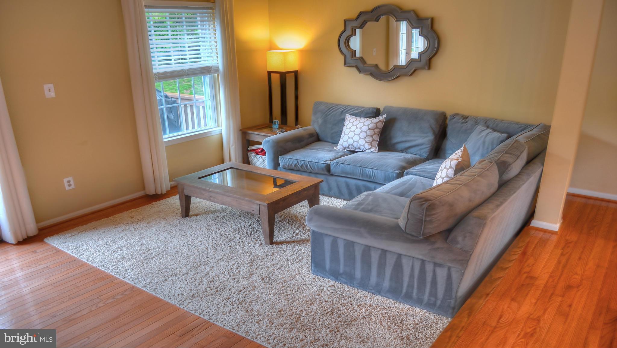 1500 Autumn Ridge Circle Reston, VA 20194 - Photo 10 of 28 Living Room