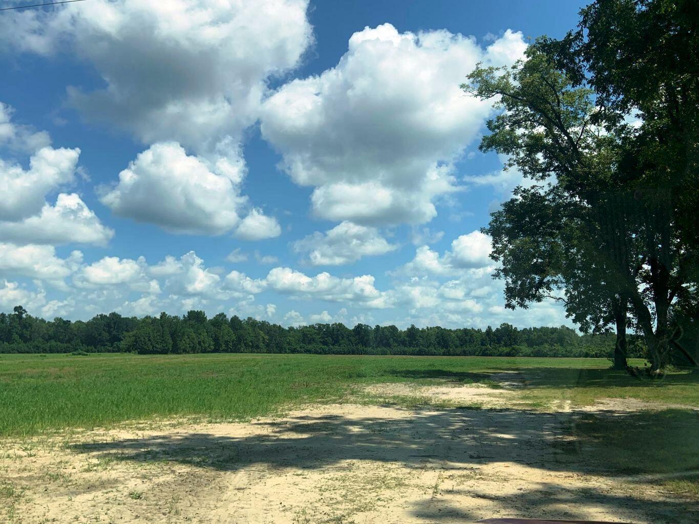 4 State Road Holly Hill, SC 29059 - Photo 1 of 27 Horse Lovers Dream!