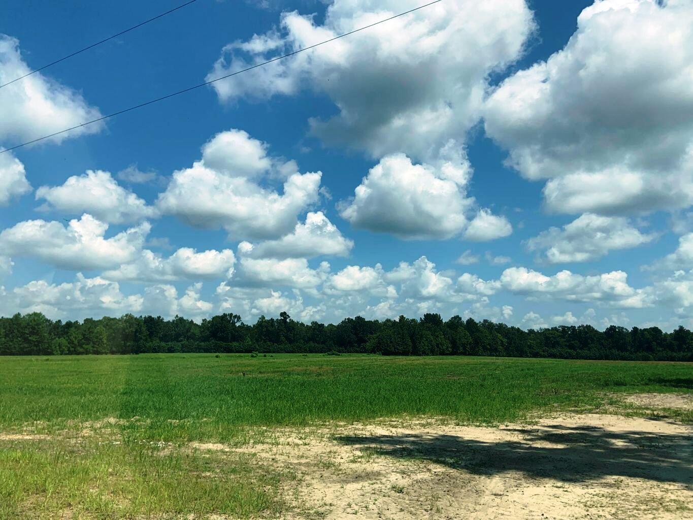 4 State Road Holly Hill, SC 29059 - Photo 2 of 27 Backs up to Audubon Society!