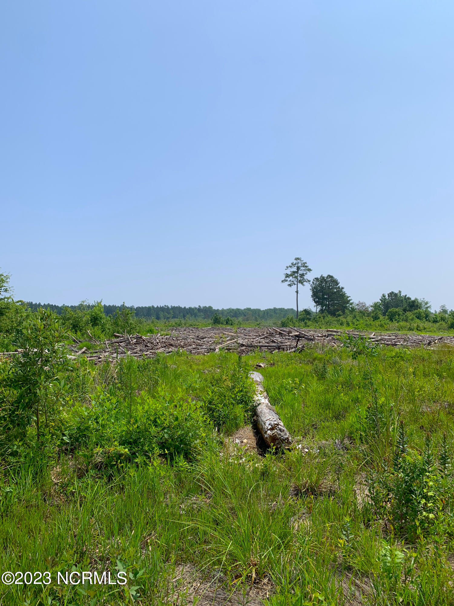 0 Joe Williams Road Kinston, NC 28501 - Photo 11 of 25 11